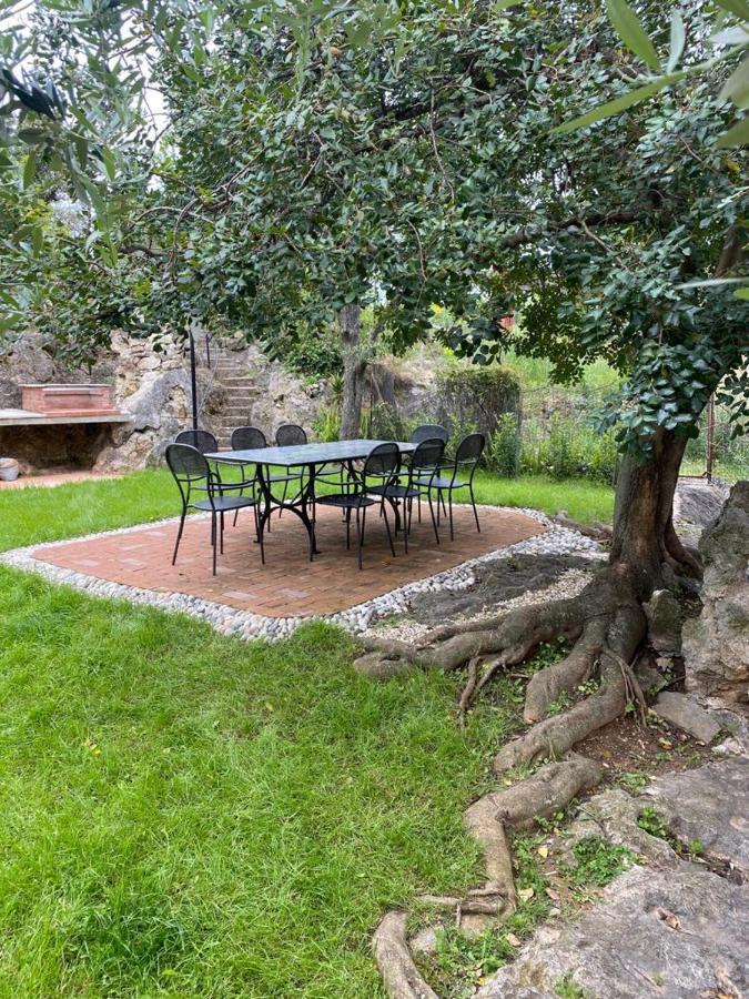 Villa Paolina Ceriale - App. 6 Posti Екстер'єр фото